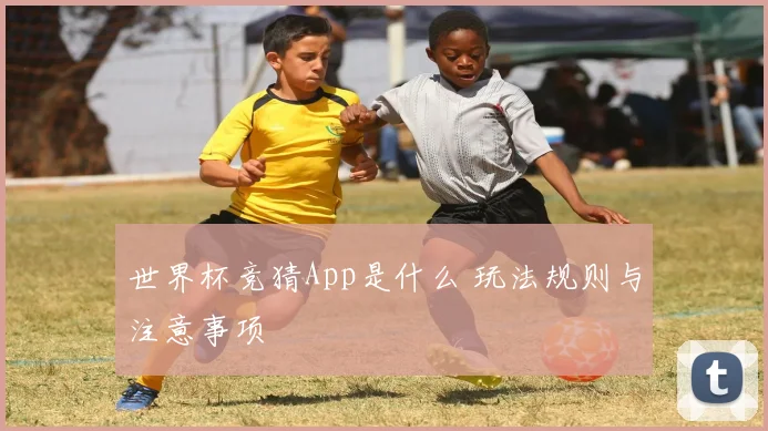 世界杯竞猜App是什么 玩法规则与注意事项