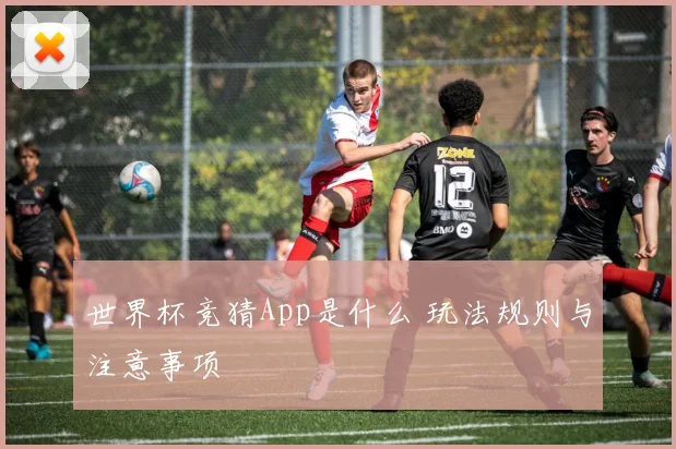 世界杯竞猜App是什么 玩法规则与注意事项