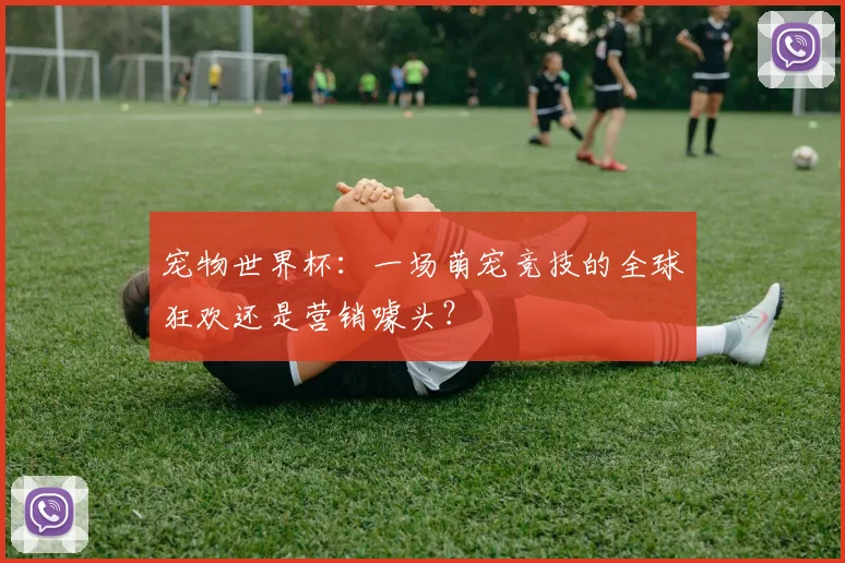 宠物世界杯：一场萌宠竞技的全球狂欢还是营销噱头？